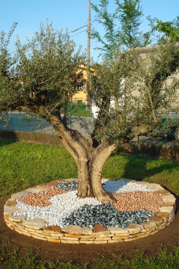 DSC00061
