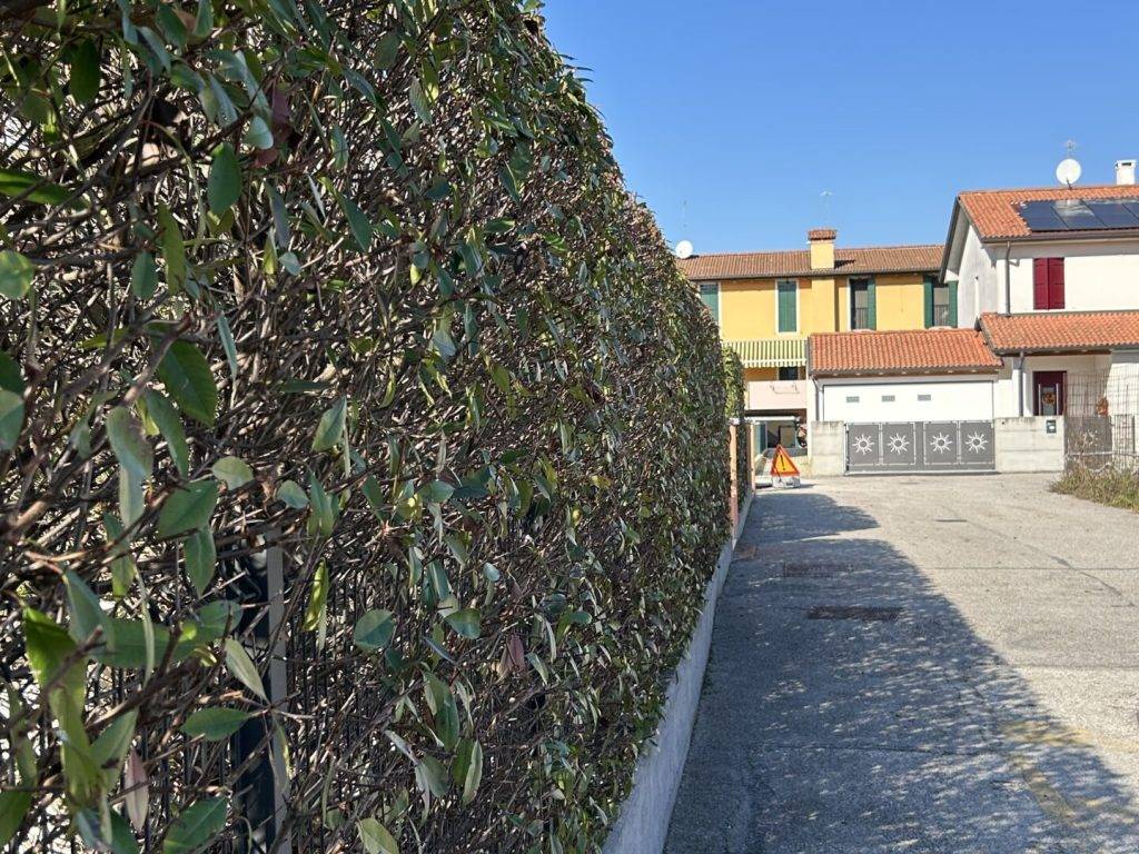 IMG_6759